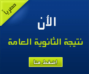 نتيجة الثانوية العامة 2014