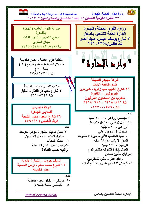 jornal_new_in_295_in0001
