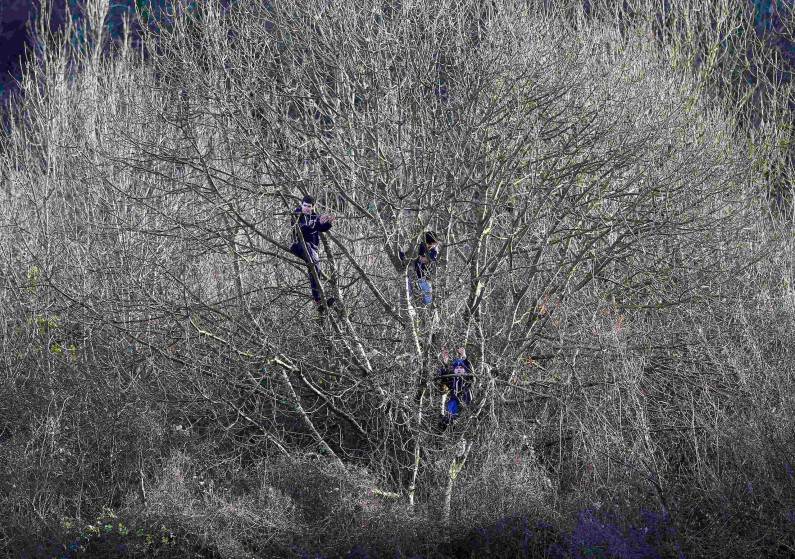 Dover Athletic supporters applaud their team from trees outside the ground that overlook the pitch during their English FA Cup third round soccer match against Crystal Palace at Crabble Athletic Ground in Dover, southern England