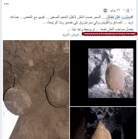 عش الخفاش سعره