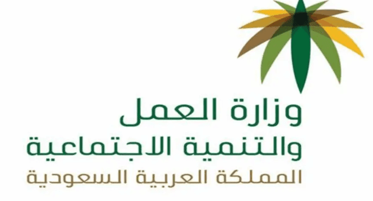 وزارة العمل الاستعلام عن رصيد الضمان الاجتماعي بالسجل المدني 1440 ه كلمة دوت أورج