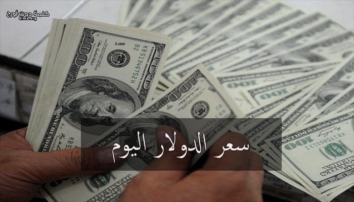 سعر الدولار اليوم الاثنين 5 8 2019 فى البنوك المصرية كلمة دوت أورج