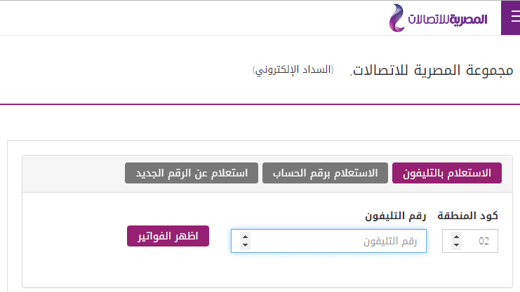 الآن فاتورة التليفون الأرضي يوليو 2019 عبر موقع المصرية للاتصالات billing.te.eg 