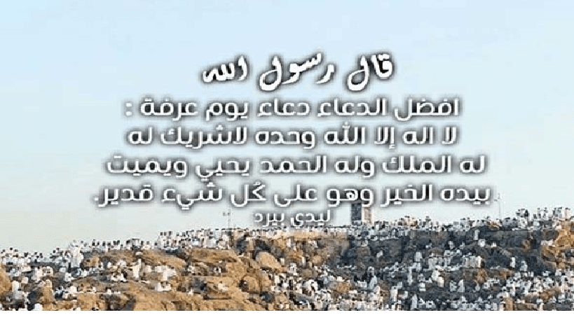 بث مباشر وقفة عرفة