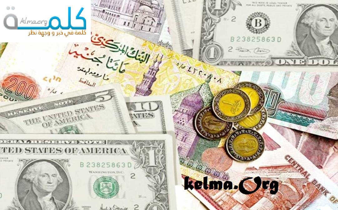 اسعار الدولار اليوم