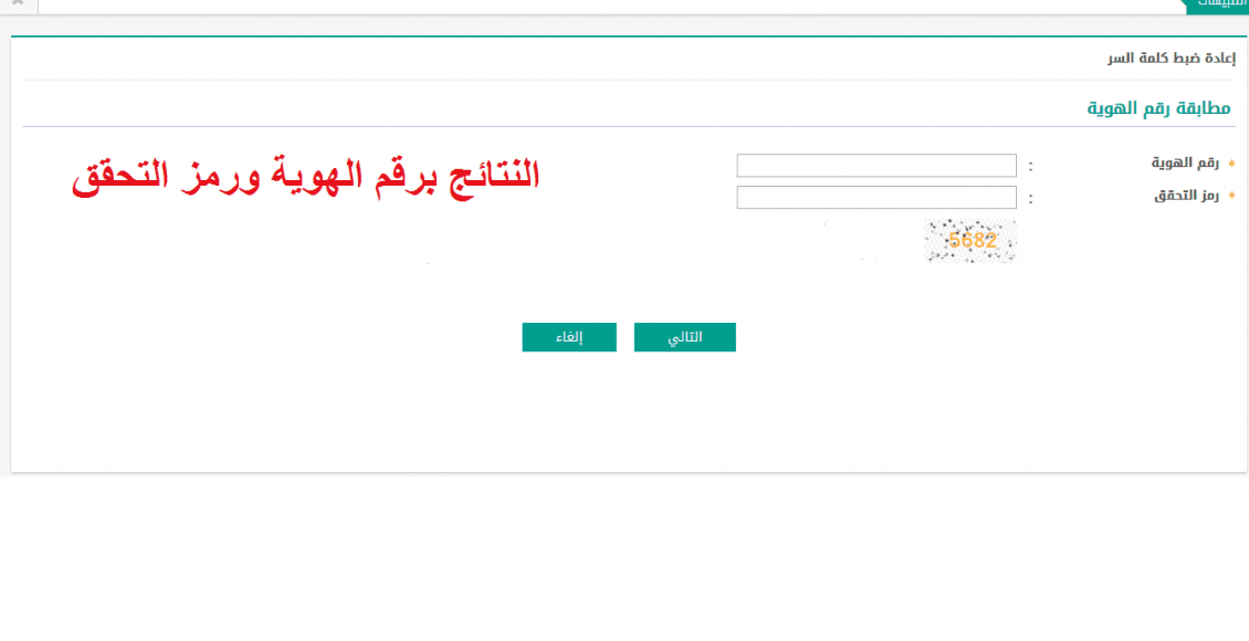 نظام نور