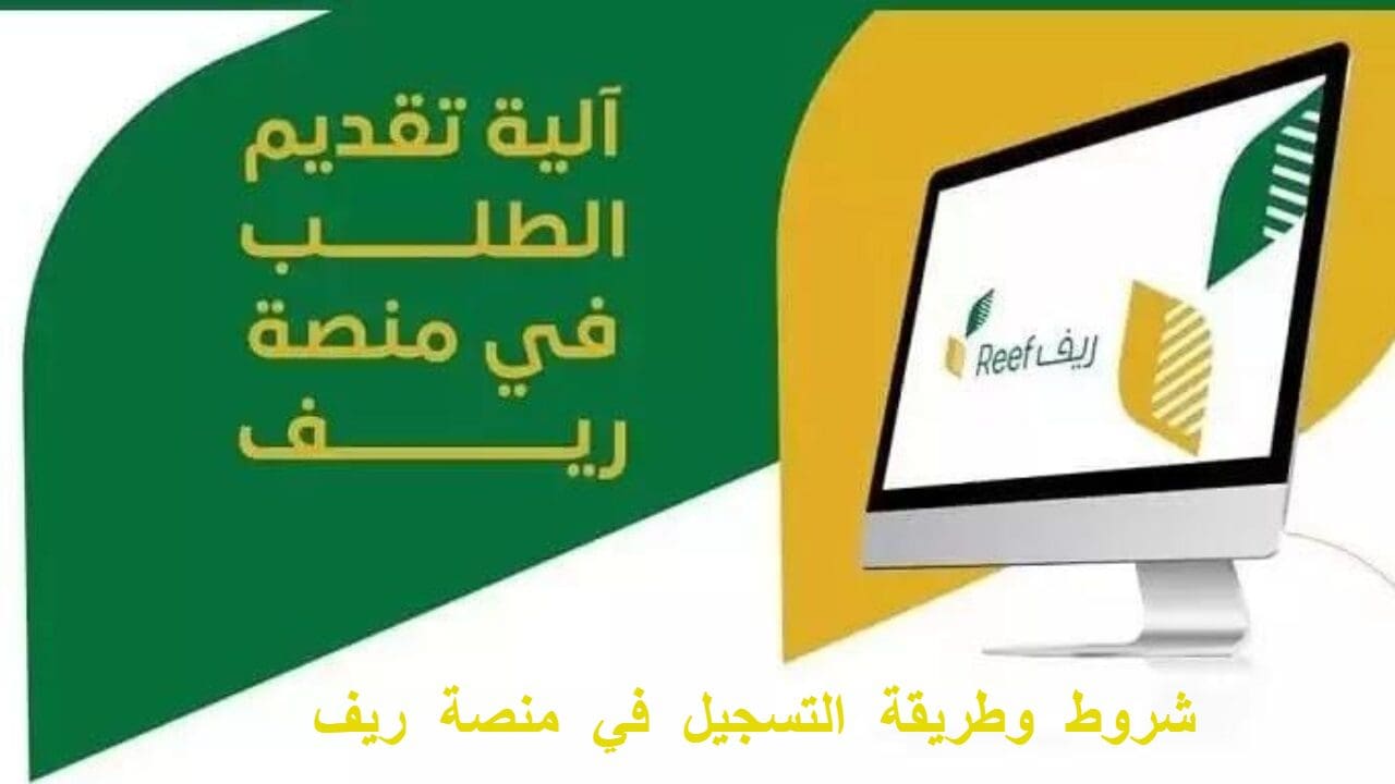 شروط التقديم على ريف