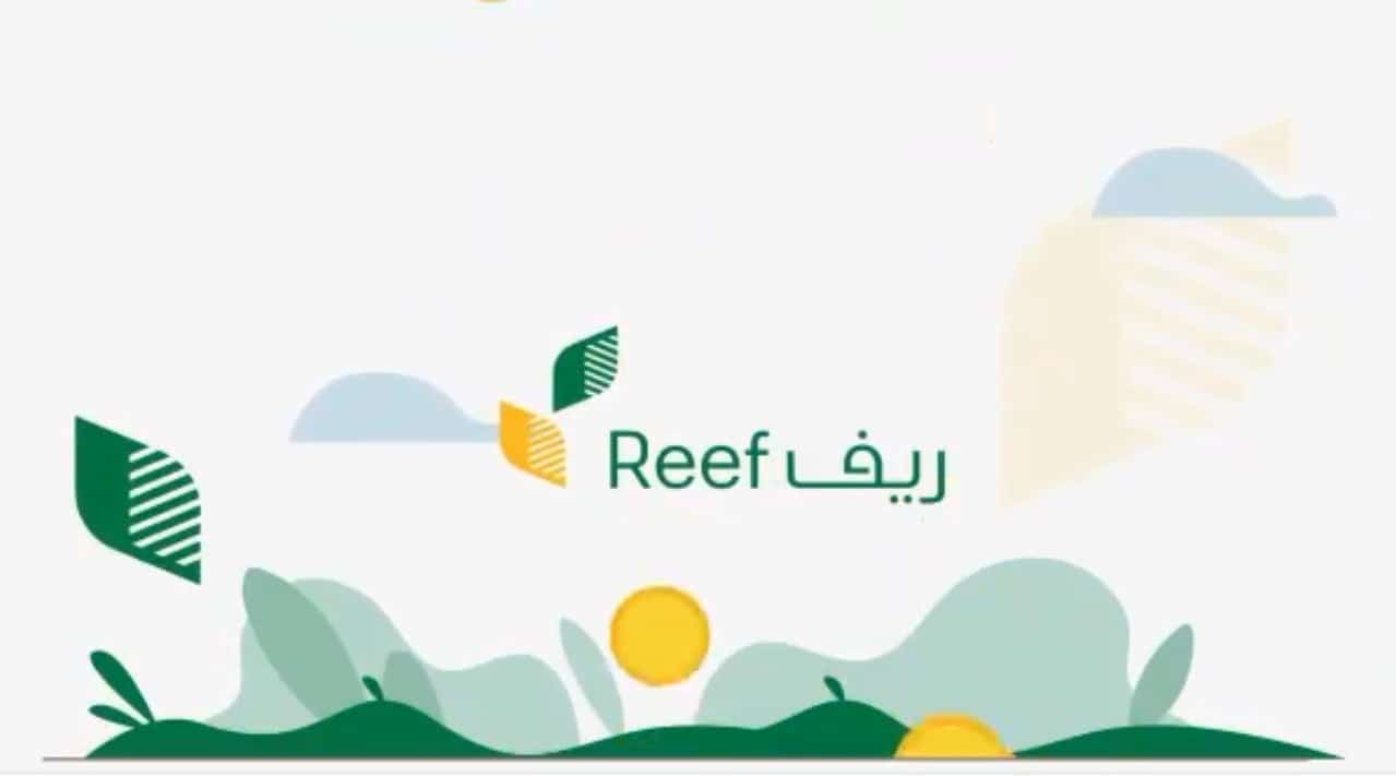 شروط التسجيل في منصة ريف 1442هـ لدعم الأسر المنتجة ورابط التسجيل والخطوات