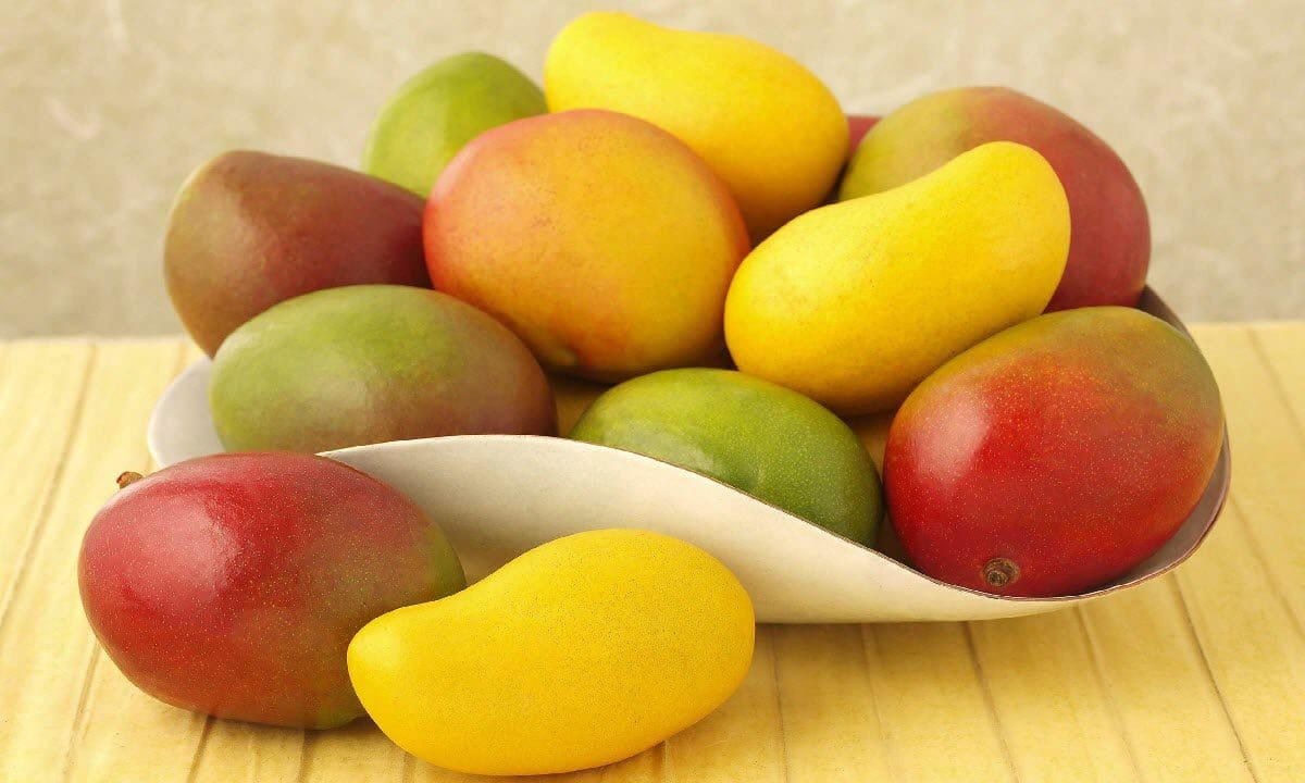 فوائد المانجو